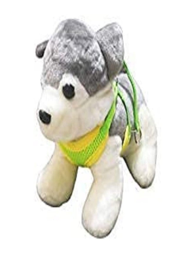 Pups&Pets طقم سترة مبطنة ناعمة قابلة للتعديل من Pups&Pets مع حزام ومقود للكلاب الصغيرة والقطط والأرانب والجراء (اللون حسب المتوفر) - Image 4